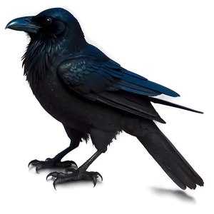 Raven Silhouette PNG Gpe