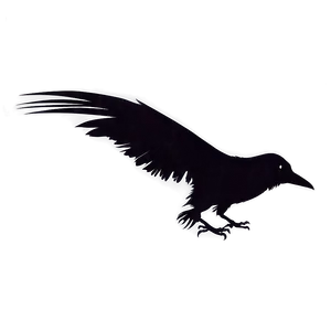Raven Silhouette PNG Ttm