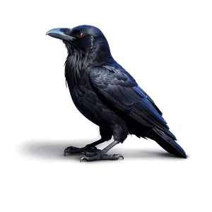 Raven With Glowing Eyes PNG Pwq PNG
