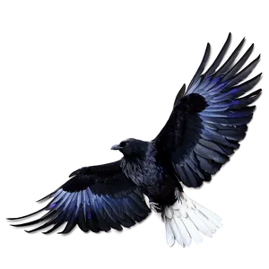 Raven With Open Wings PNG 06122024 PNG
