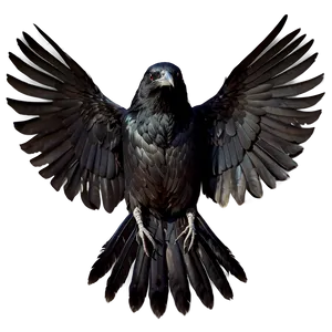 Raven With Open Wings PNG Ohc94