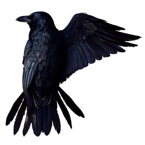 Raven With Open Wings PNG Pqw PNG