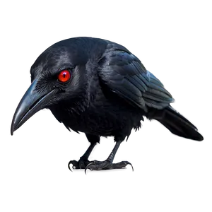 Raven With Red Eyes Png 05062024 PNG image