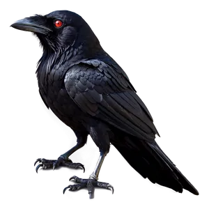 Raven With Red Eyes Png Cdm67 PNG image