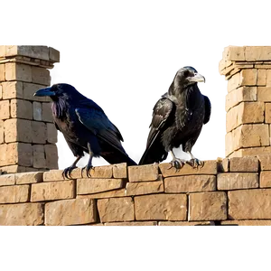 Ravens At Ancient Ruins Png 58 PNG image