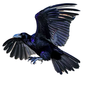 Ravens Flock At Sunset Png 82 PNG image