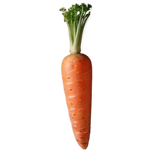 Raw Carrot Png 78 PNG image