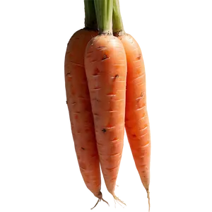 Raw Carrot Png 86 PNG image