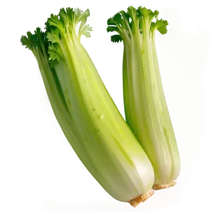 Raw Celery PNG 06252024 PNG