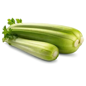 Raw Celery PNG 06252024 PNG