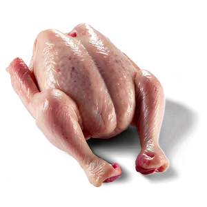 Raw Chicken A PNG image