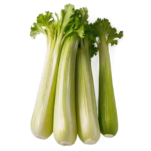 Raw Organic Celery Png Aee PNG image