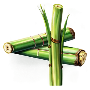 Raw Organic Sugarcane PNG Evt82