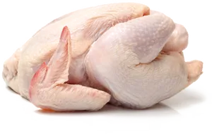Raw Whole Chicken Isolated.png PNG image