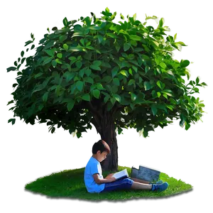 Reading Book Under Tree Png Axy PNG image