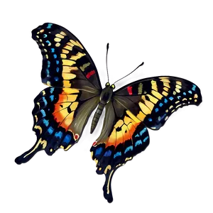 Real Butterfly PNG Jna96 PNG