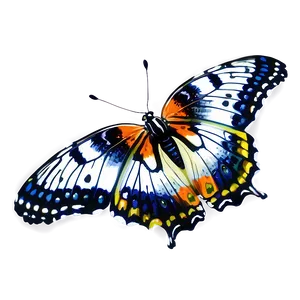 Real Butterfly Png Txq29 PNG image