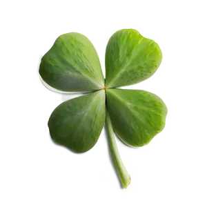 Real Four Leaf Clover Png 05252024 PNG image