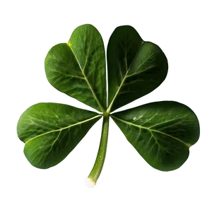 Real Four Leaf Clover Png 9 PNG image