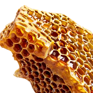 Real Honeycomb Image PNG 05232024
