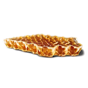 Real Honeycomb Image PNG Urq52