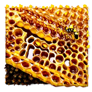 Real Honeycomb Image PNG Wha