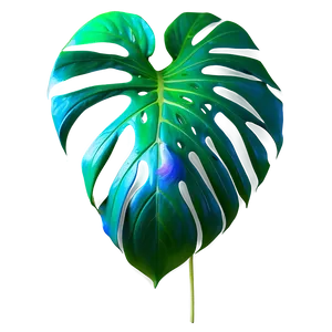 Real Monstera Plant Png 12 PNG image