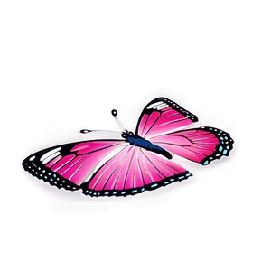 Real Pink Butterfly C PNG image