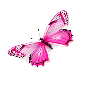 Real Pink Butterfly Png 06212024 PNG image