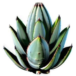 Realistic Agave PNG Ruj60 PNG