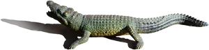 Realistic Alligator Model