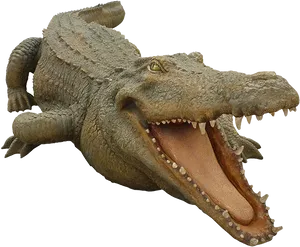 Realistic Alligator Modelwith Open Mouth