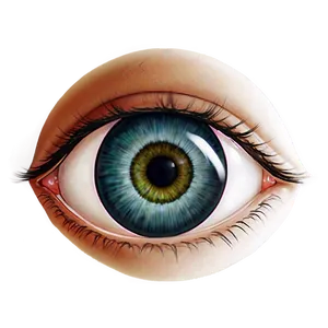Realistic Anime Eyes Png 37 PNG image