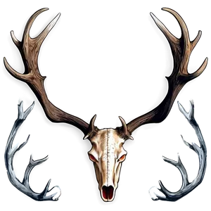 Realistic Antler Graphic Png 06212024 PNG image