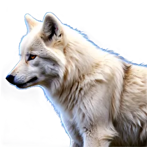 Realistic Arctic Wolf Png 06292024 PNG image