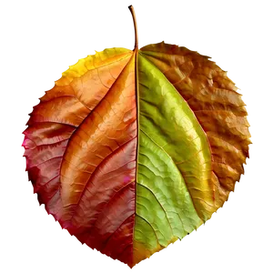 Realistic Autumn Leaf Png 72 PNG image