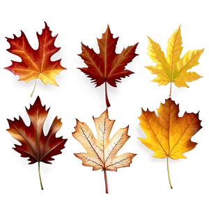 Realistic Autumn Leaf Png Gsp57 PNG image