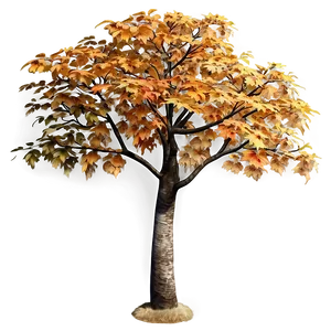 Realistic Autumn Tree Png Cfu PNG image