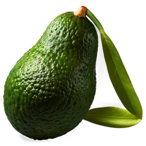 Realistic Avocado Png 89 PNG image