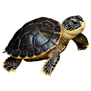 Realistic Baby Turtle PNG 23 PNG