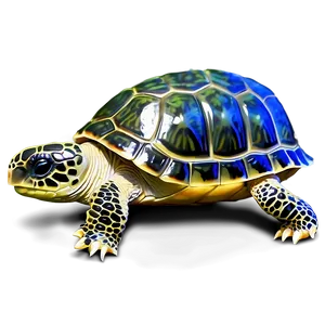 Realistic Baby Turtle PNG Mcj94 PNG
