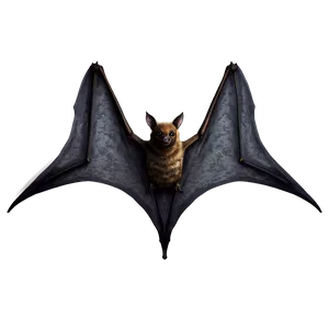 Realistic Bats Illustration PNG 96