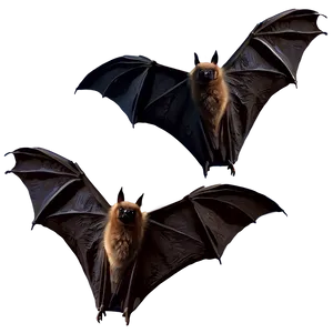 Realistic Bats Illustration PNG Vdu89