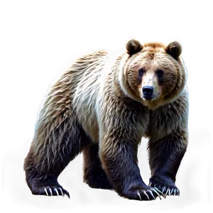 Realistic Bear Drawing PNG 05032024