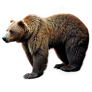 Realistic Bear Drawing PNG Mbf