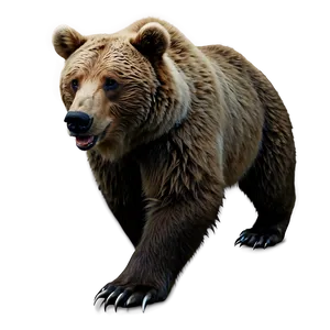 Realistic Bear Drawing PNG Ulq88