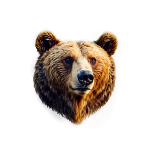 Realistic Bear Head Sketch PNG Myo9 PNG