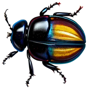 Realistic Beetle Drawing PNG 05242024