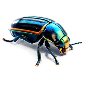 Realistic Beetle Drawing PNG Rrd63