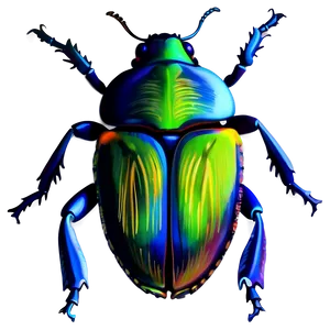 Realistic Beetle Drawing PNG Ulo53
